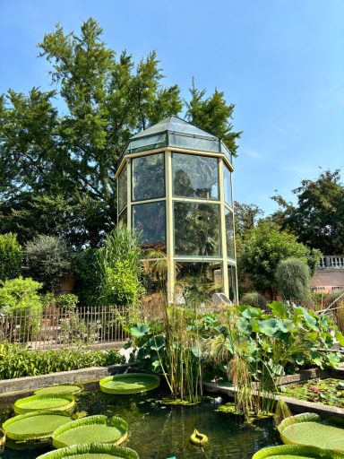 Greenhouse encasing tree, lily pond in foreground